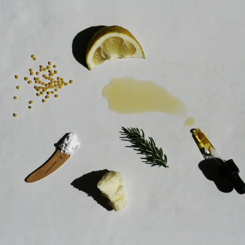 Image of some of the raw ingredients used in the Pure Natural Deodorant -(From left to right) Candelilla wax, lemon, dropper filled with vitamin E oil, rosemary, shea butter and zinc ricinoleate.